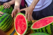 学校瓜在线免费吃瓜,免费瓜果等你来尝