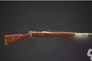 pubg枪皮肤爆料最新,最新Pubg枪皮肤爆料，炫酷外观引玩家热议！